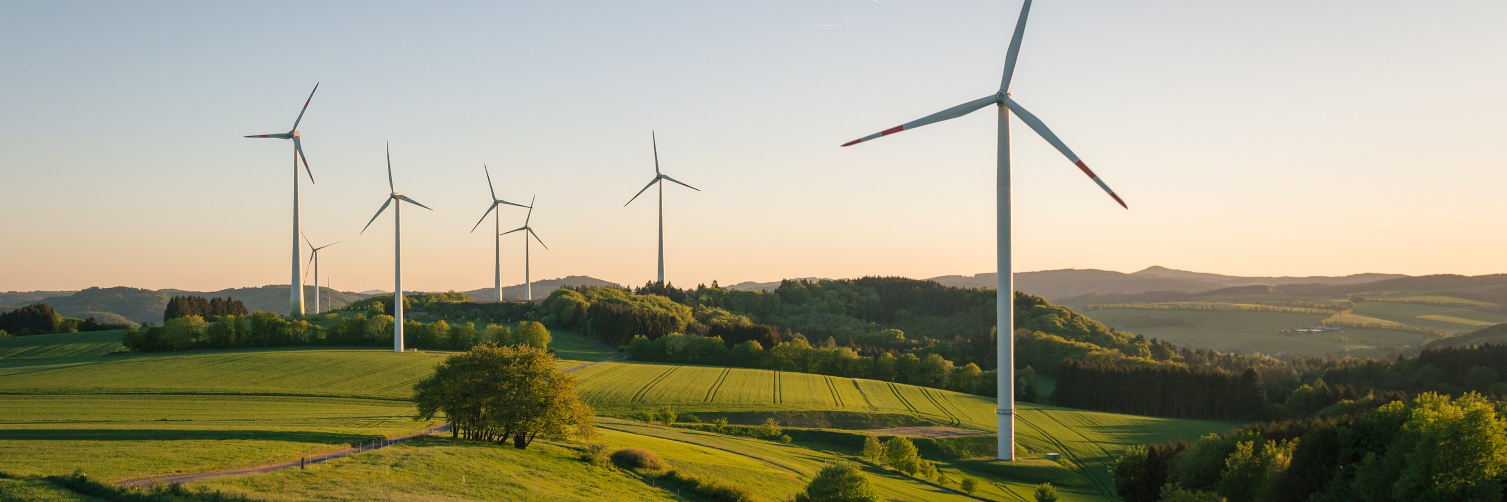 Windkraftanlagen auf einem Feld bei Sonnenuntergang