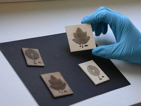 close-up of four sensors printed on wood